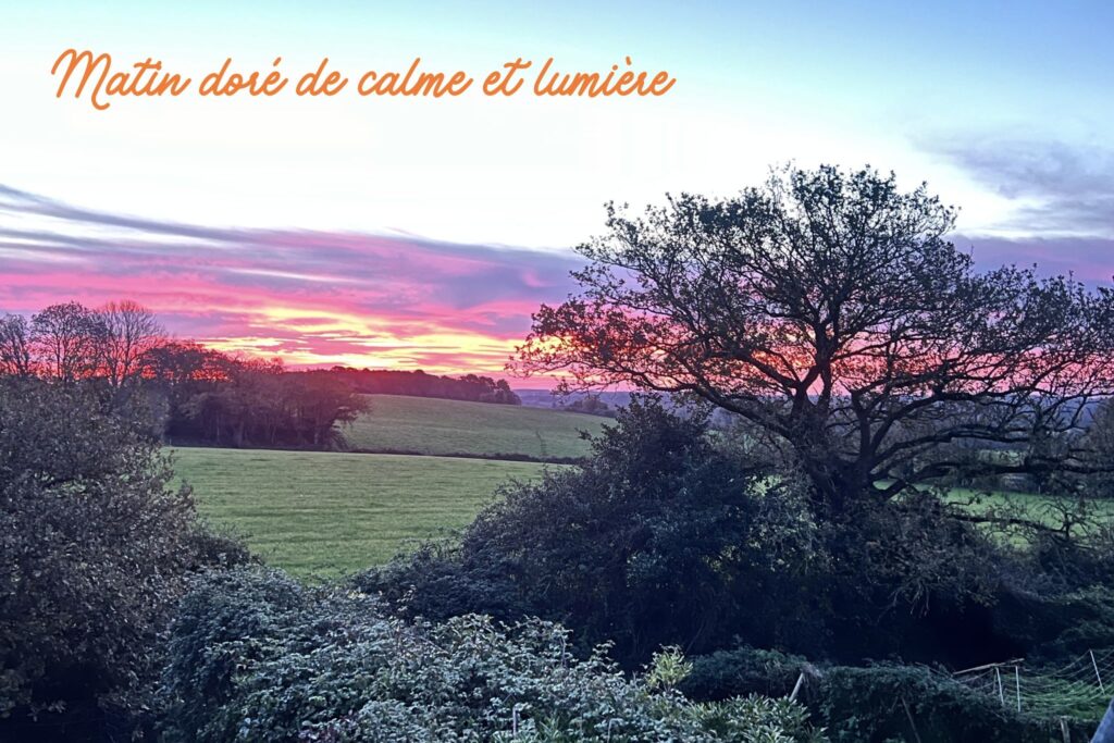 Lever de soleil vacances Bretagne chiens gite Brittany holidays dogs sunrise