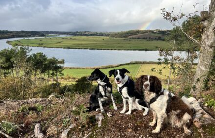 Une de nos promenades préférées depuis les gîtes