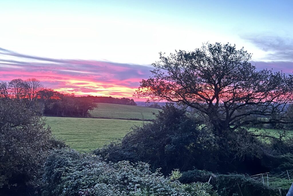 vue bretagne gite chien