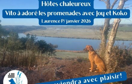 Retours 2026 – avec photos des toutous en vacances